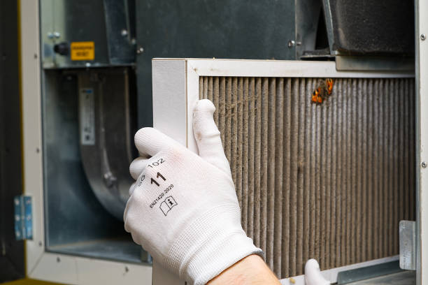 Best HVAC Maintenance and Cleaning  in Forestville, MD
