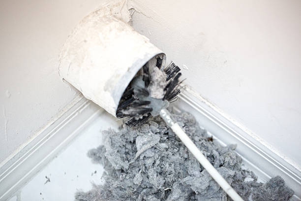 Best Air Duct Cleaning Near Me  in Forestville, MD